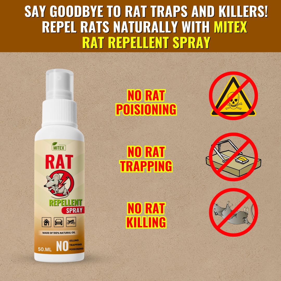 Buy 1 Get 2 free 💥 Rat Repellent Spray – Safe, Effective, and Eco-friendly